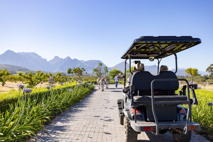 6 Bedroom Property for Sale in Klein Parys Western Cape